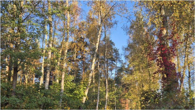 Убираем зимние куртки: к середине следующей недели в Латвии потеплеет!