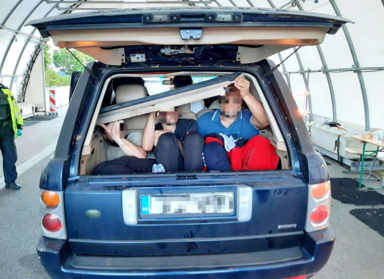 Журналисты выдали себя за перевозчиков мигрантов и раскрыли схему через Telegram и TikTok