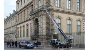 Роботы-кролики - новейшее оружие во Флориде в борьбе с инвазивными бирманскими питонами