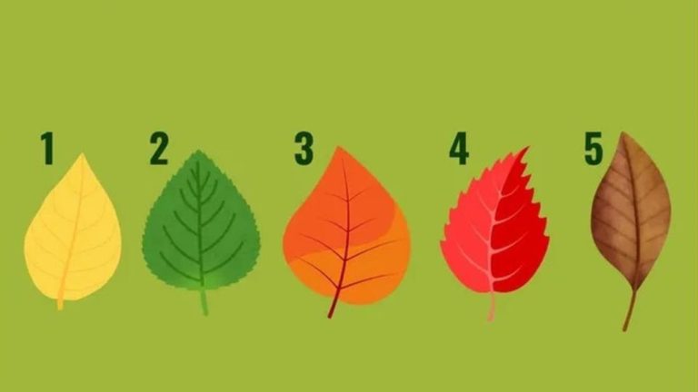 В какой области у вас наибольшие шансы на успех? Тест покажет, занимаетесь ли вы любимым делом или испытываете трудности.