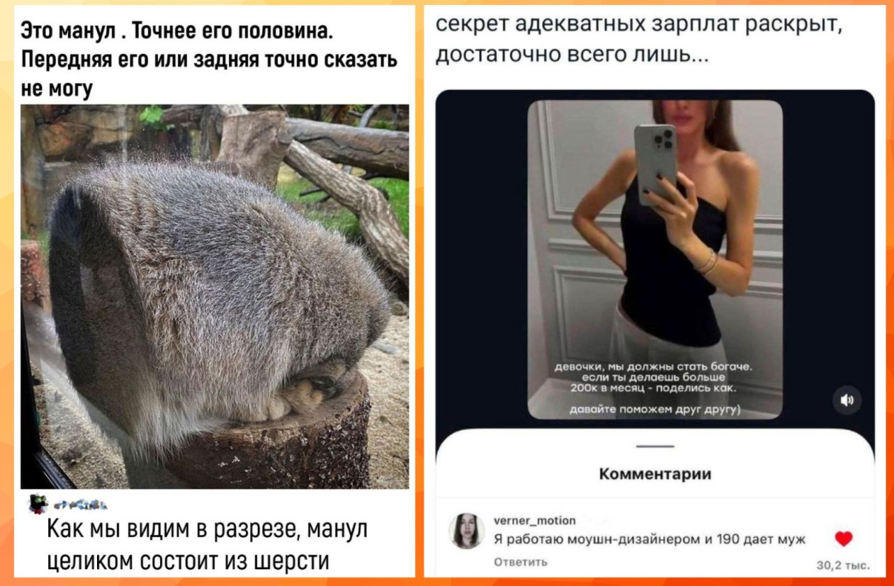 Во время пандемии люди стали меньше заниматься сексом