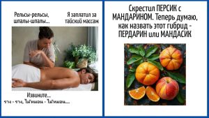 В какой области у вас наибольшие шансы на успех? Тест покажет, занимаетесь ли вы любимым делом или испытываете трудности.