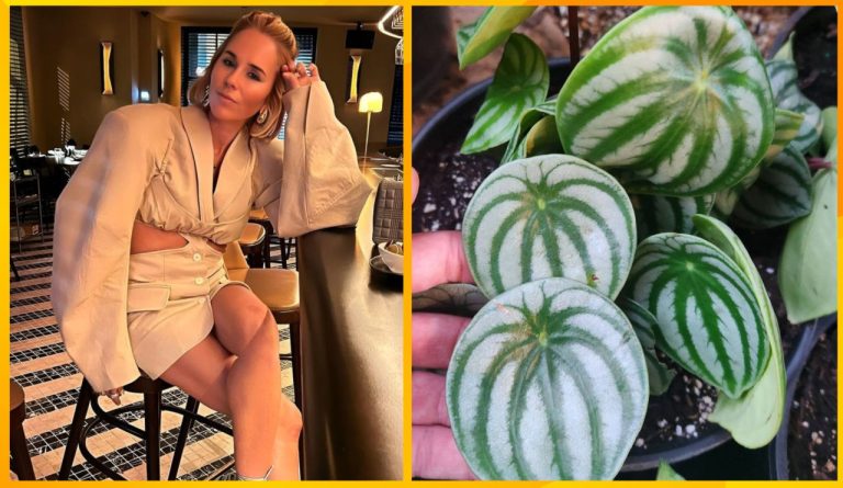 Эти иллюзии сломают твою логику и заставят присмотреться дважды