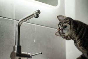 Водителей предупреждают о гололёде на главных дорогах региона