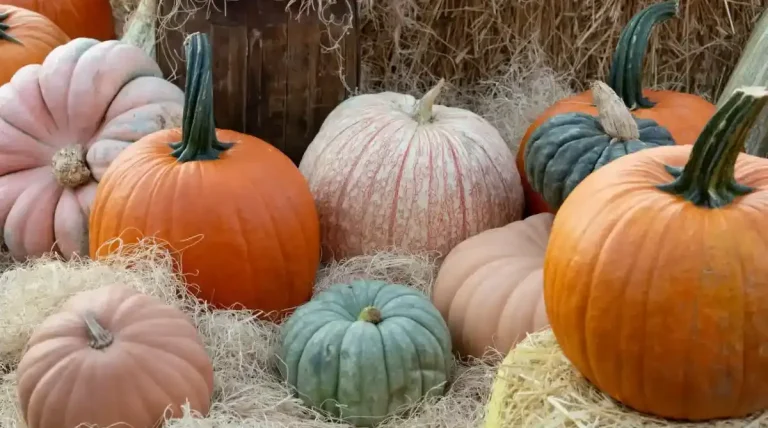 Куда податься? Топ интересных мероприяий для всей семьи на выходные