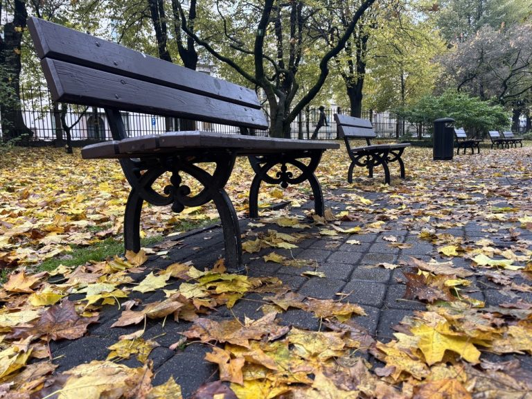 Самый тёплый день недели: в Латвии сегодня до +10 и лёгкий туман