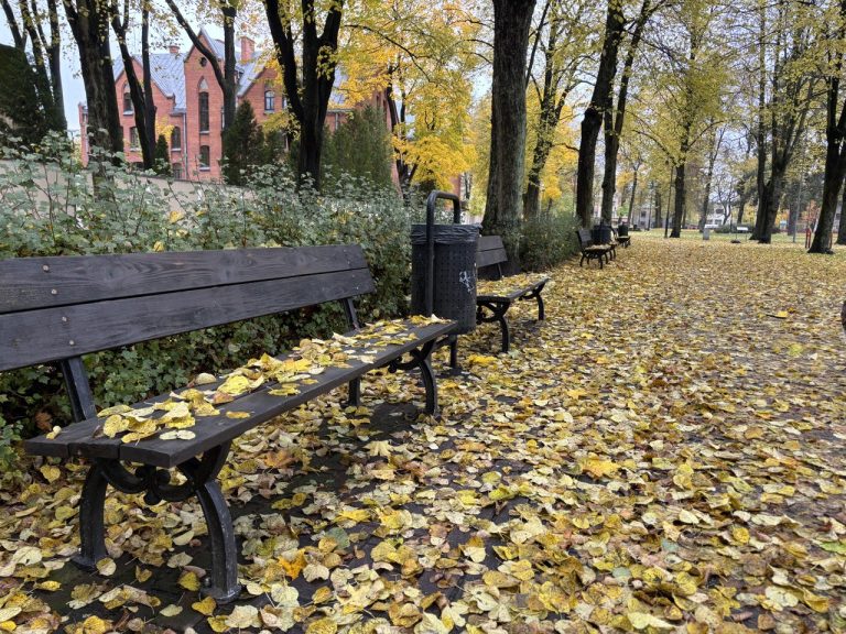 После дождливого начала недели в Латвии вернётся солнце и сухая погода