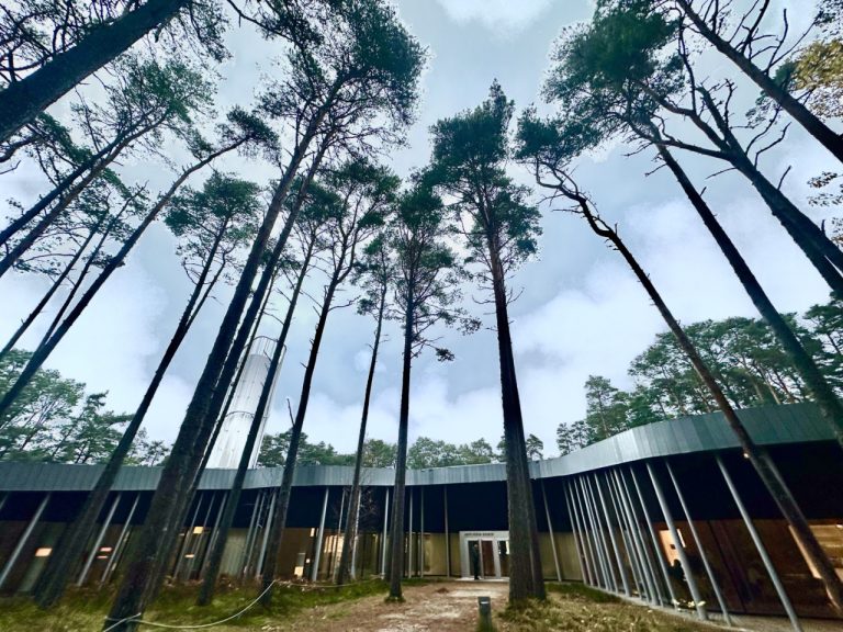 Необычная Эстония: музыка для «Нового папы» и пересечение искусств