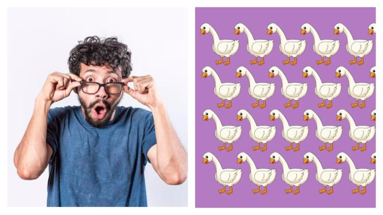 Тест на внимательность, который успешно прошёл лишь 1% пользователей. Готовы ли вы к испытанию?