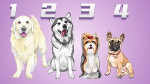 Стрельцы, Раки, Львы и Скорпионы в гороскопе Василисы Володиной на воскресенье 2 ноября