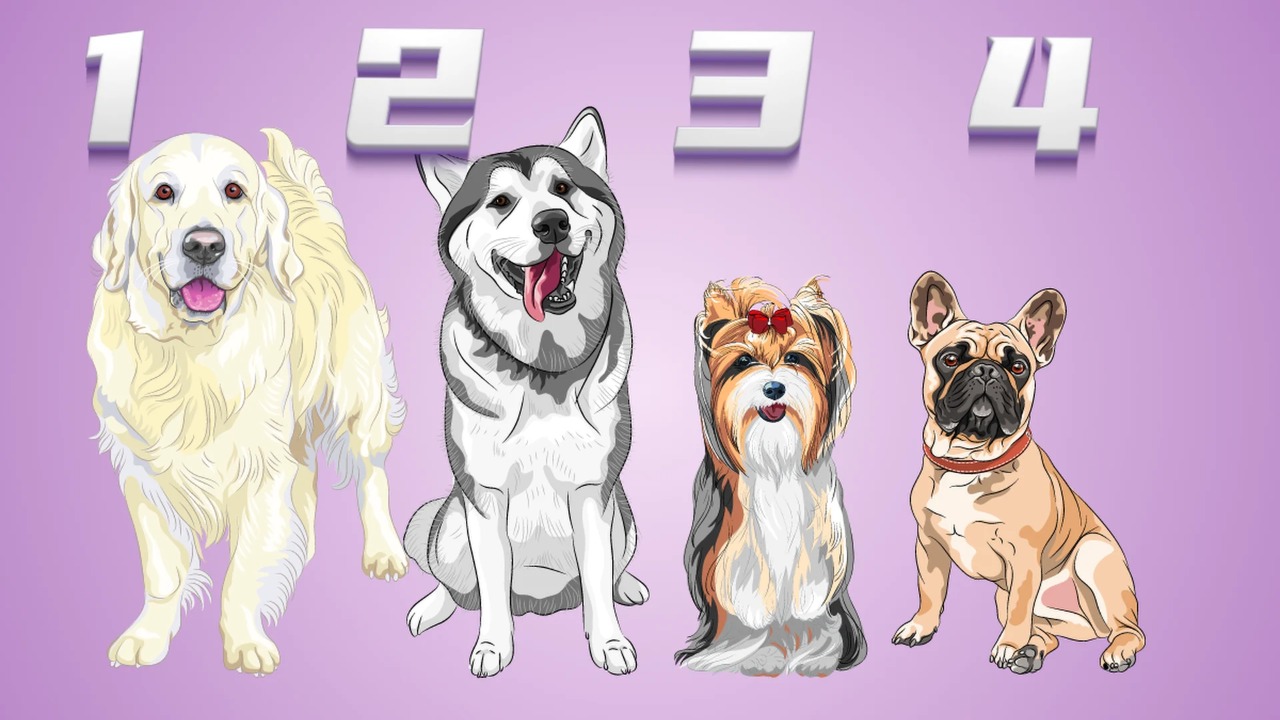 Nissan сделает чехол для iPhone