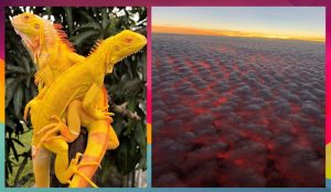 Ноябрь 2025: лучший месяц года для трёх знаков зодиака