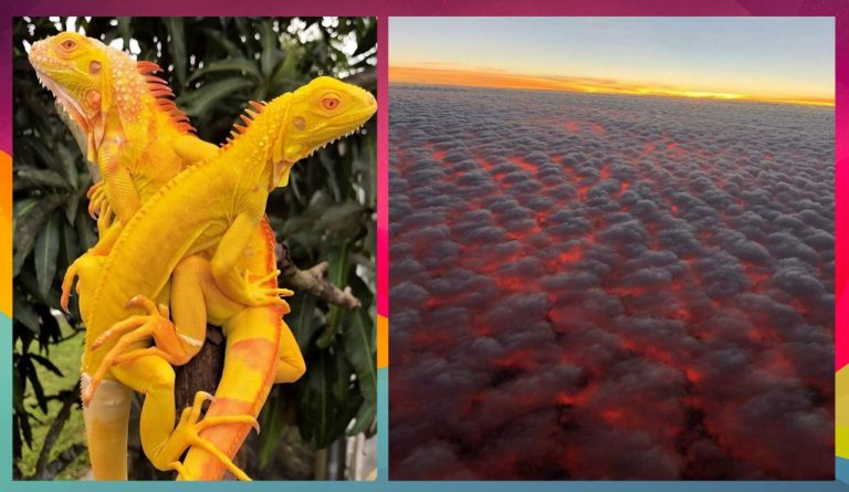 Эти снимки природы пробуждают глубокое восхищение ее бесконечной мощью