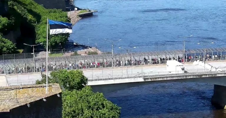 При пересечении границы евро прячут в нижнее белье и под стельками - рассказ эстонских таможенников