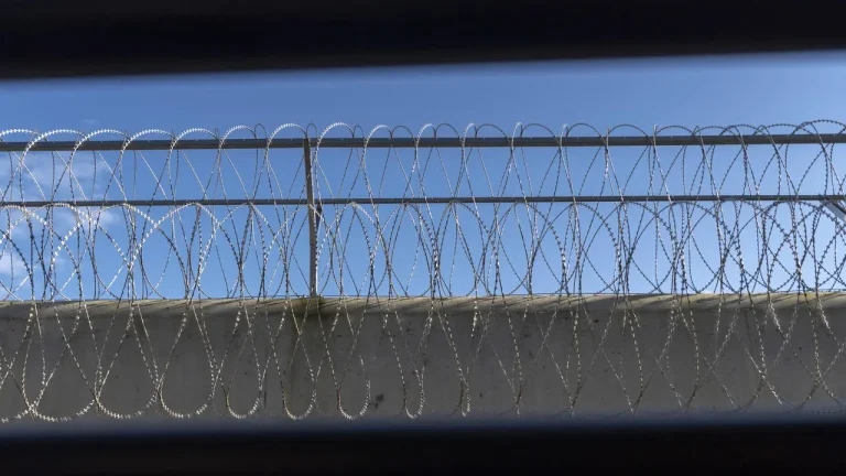 Участники мошеннической группы приговорены к тюрьме и миллионному штрафу