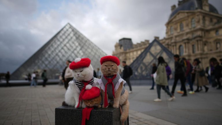 «Нить Ариадны»: во Франции задержали еще пятерых подозреваемых в ограблении Лувра