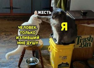 Совпадения не случайны: что прошлые жизни говорят о твоих нынешних отношениях
