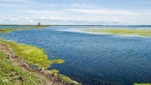 Мэр Юрмалы Трукснис подал в отставку: не получил допуск к гостайне