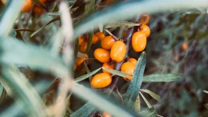 Астрологи назвали самый трудный месяц 2026 года для каждого знака зодиака - и как его пройти