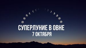Когда пить, когда не пить: 10 простых правил питания для контроля веса