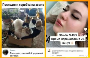 Три знака зодиака, для которых рутина приносит безопасность и покой