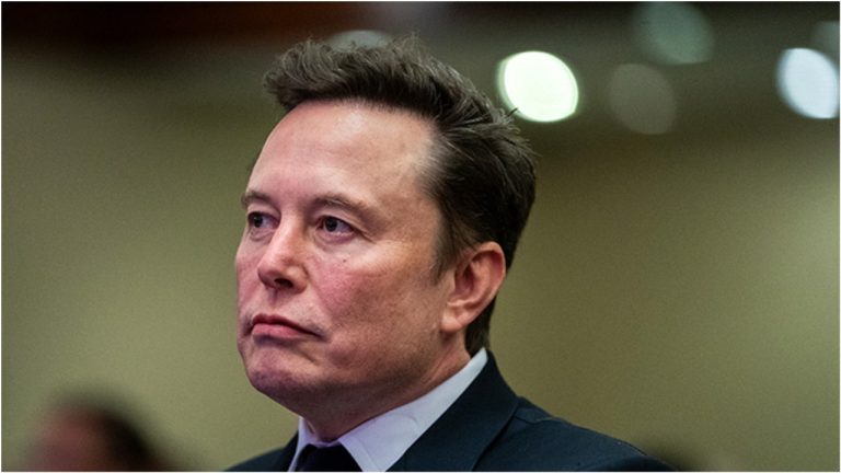 Маск объявил войну «Википедии»: через две недели появится «Грокипедия»