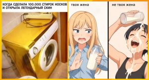 Юмор за день и стрижка котов