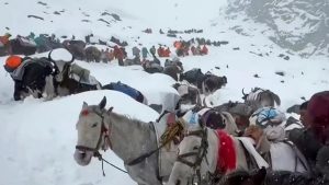 Нападение на церковь во время службы: стрельба, поджог и жертвы