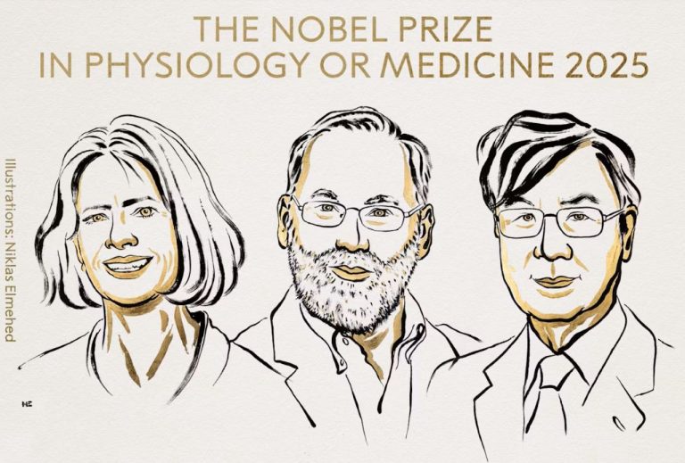 Нобелевскую премию по медицине присудили за открытия в области иммунной защиты организма
