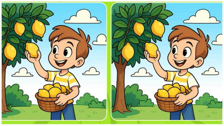 🍋 Сможете ли вы найти 3 отличия на лимонном дереве за 20 секунд?