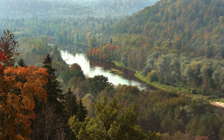 Дождливое лето в Латвии привело к рекордно низкому числу лесных пожаров за 25 лет