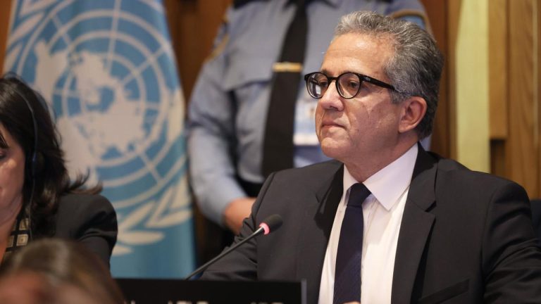 Египтянин и египтолог Халед Аль-Анани выдвинут кандидатом на пост главы ЮНЕСКО