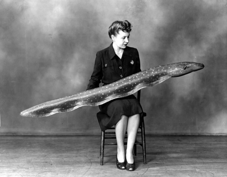 Подборка редких архивных кадров, где видно как взрослеет жизнь