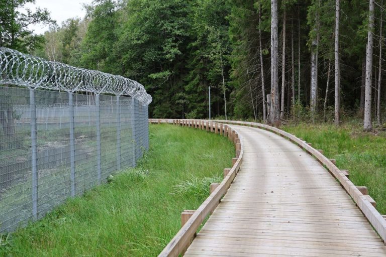 Гражданин России пересёк латвийскую границу через дыру в заборе