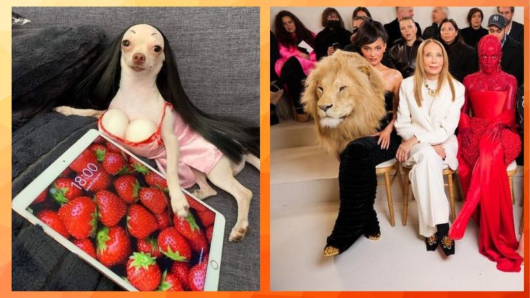 Странные снимки, от которых мозг кипит и нужно присмотреться дважды