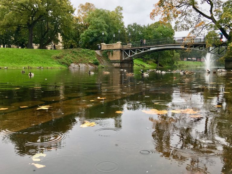 Дождливая пятница ждет Латвию: синоптики обещают ливни и порывистый ветер