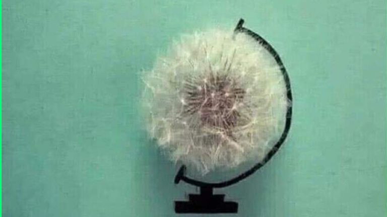 В Израиле ждут возвращения заложников. Жители сектора Газа надеются на окончание войны