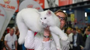 Из Афин в Багдад без пересадок: греческая авиакомпания открывает уникальный маршрут