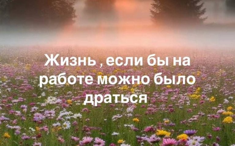 Смешные картинки, мемы про работу и драка