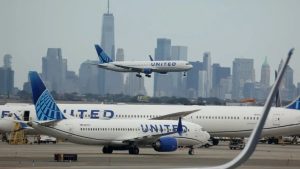 В США нашли чихуахуа, сбежавшую из дома пять лет назад