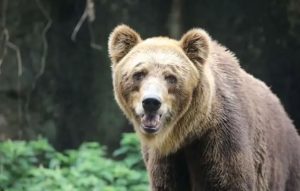 С завтрашнего дня вернуть депозит за тару можно будет и на банковский счёт (инструкция)