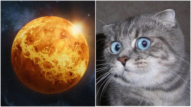 Меркурий пошёл в ретроград: сюрпризы для каждого знака Зодиака