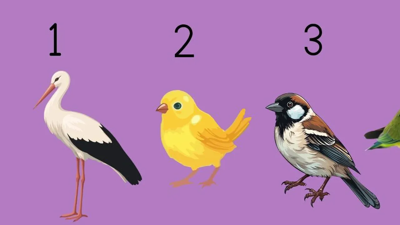 Одна из стран ЕС предлагает выдавать молодым людям 20 000 евро после наступления 18-летия