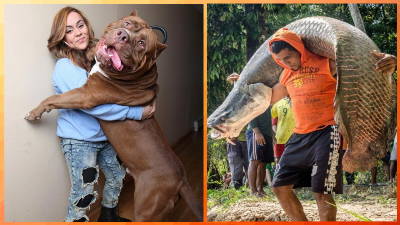 Правительство утвердило новую модель наценок на рецептурные лекарства