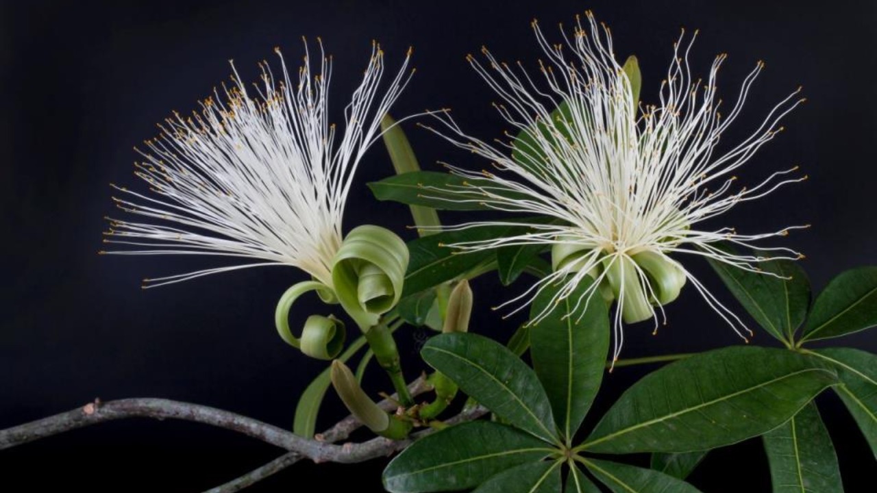 Все выходные на MIX FM звучит «Золотая коллекция