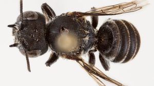 В Магдебурге начался суд по делу о нападении на рождественскую ярмарку