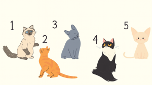 Почему полезно признавать свои ошибки и как этому научиться