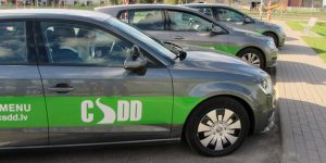 В первую неделю рижане сдали почти тысячу тонн опавших листьев