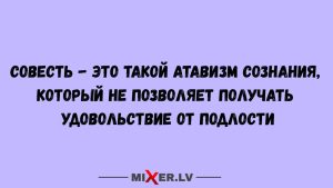 Пахира - зелёный магнит для денег: что сулит цветение «денежного дерева»