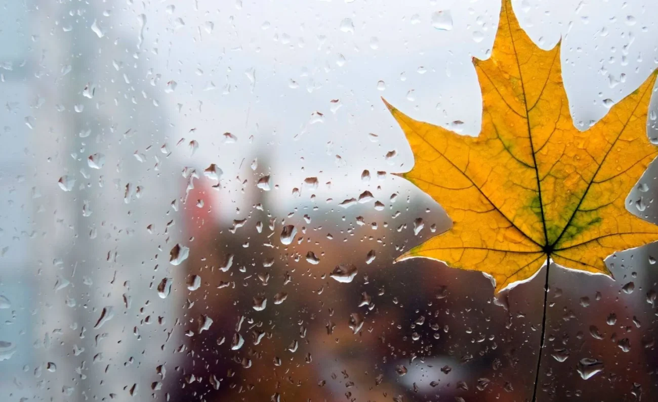 В Сейме рассмотрят инициативу о повышении пенсий по инвалидности